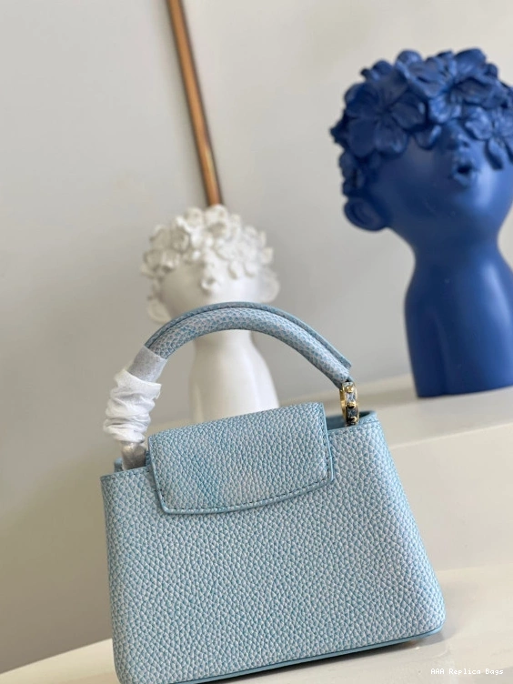 Aaa replica bags LOUIS VUITTON CAPUCINES MINI 0802
